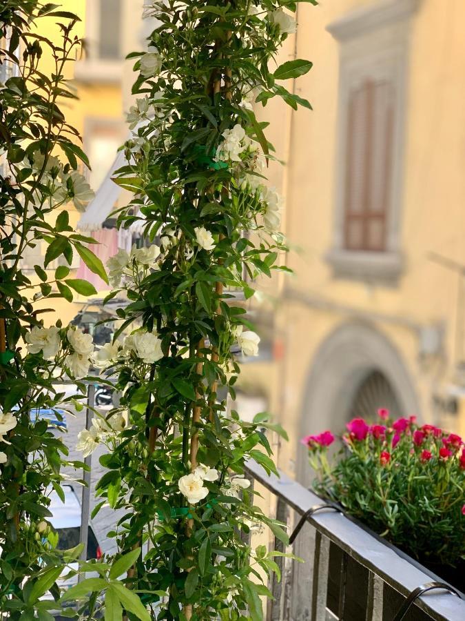 Toledo Boutique Couette-café *