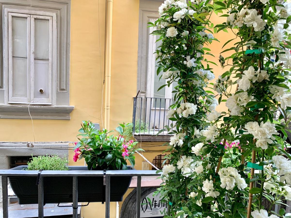 Toledo Boutique Couette-café *