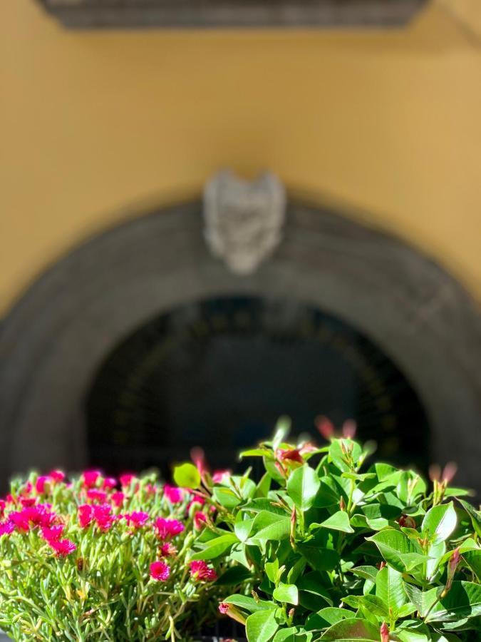 Bed & Breakfast Toledo Boutique Napoli